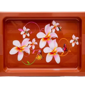 Plastic Design Serving Tray